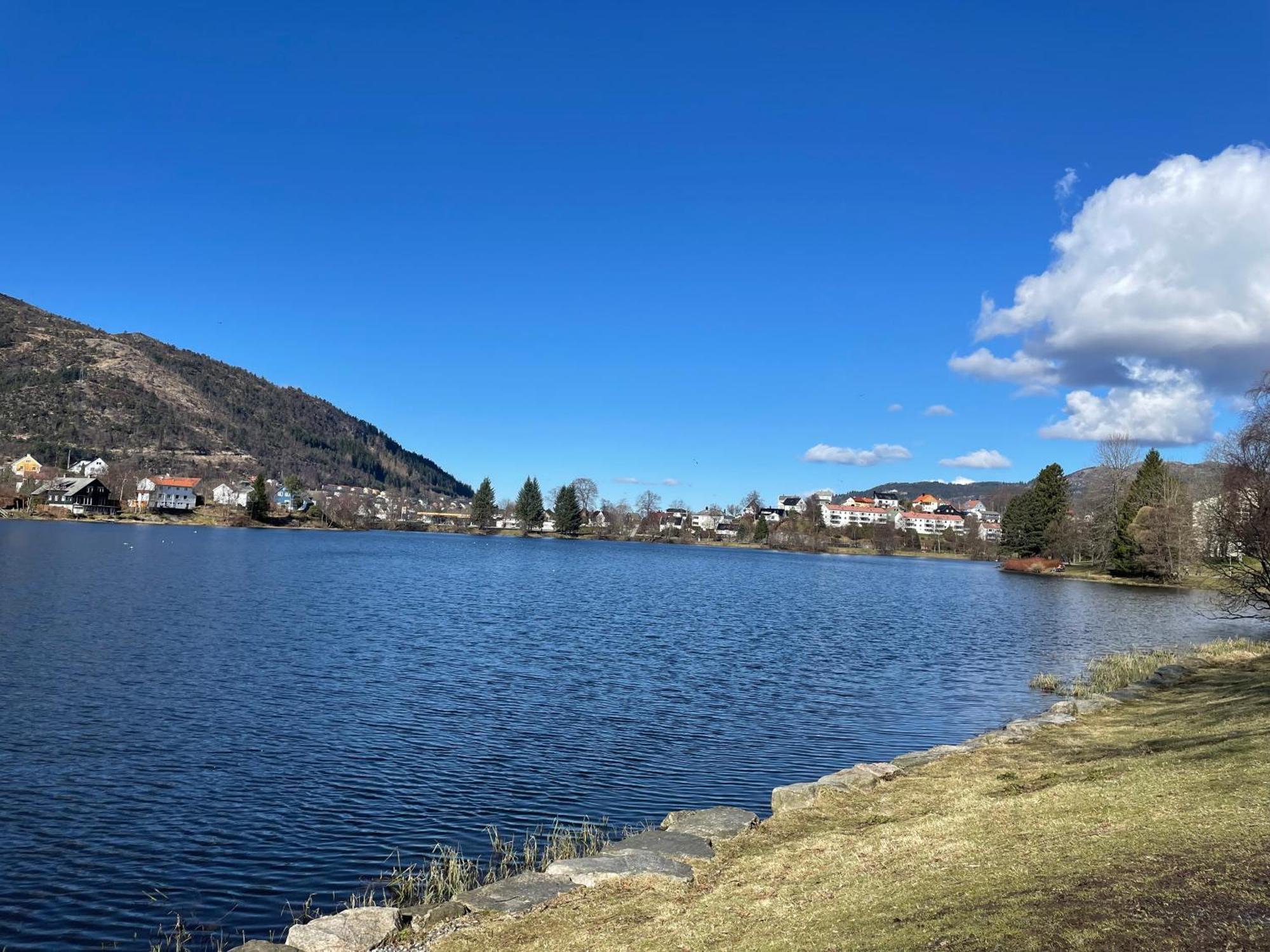 3 Sleeping Rooms For 82M2 Which Direct Traffic To Airport And City Center Bergen Kültér fotó