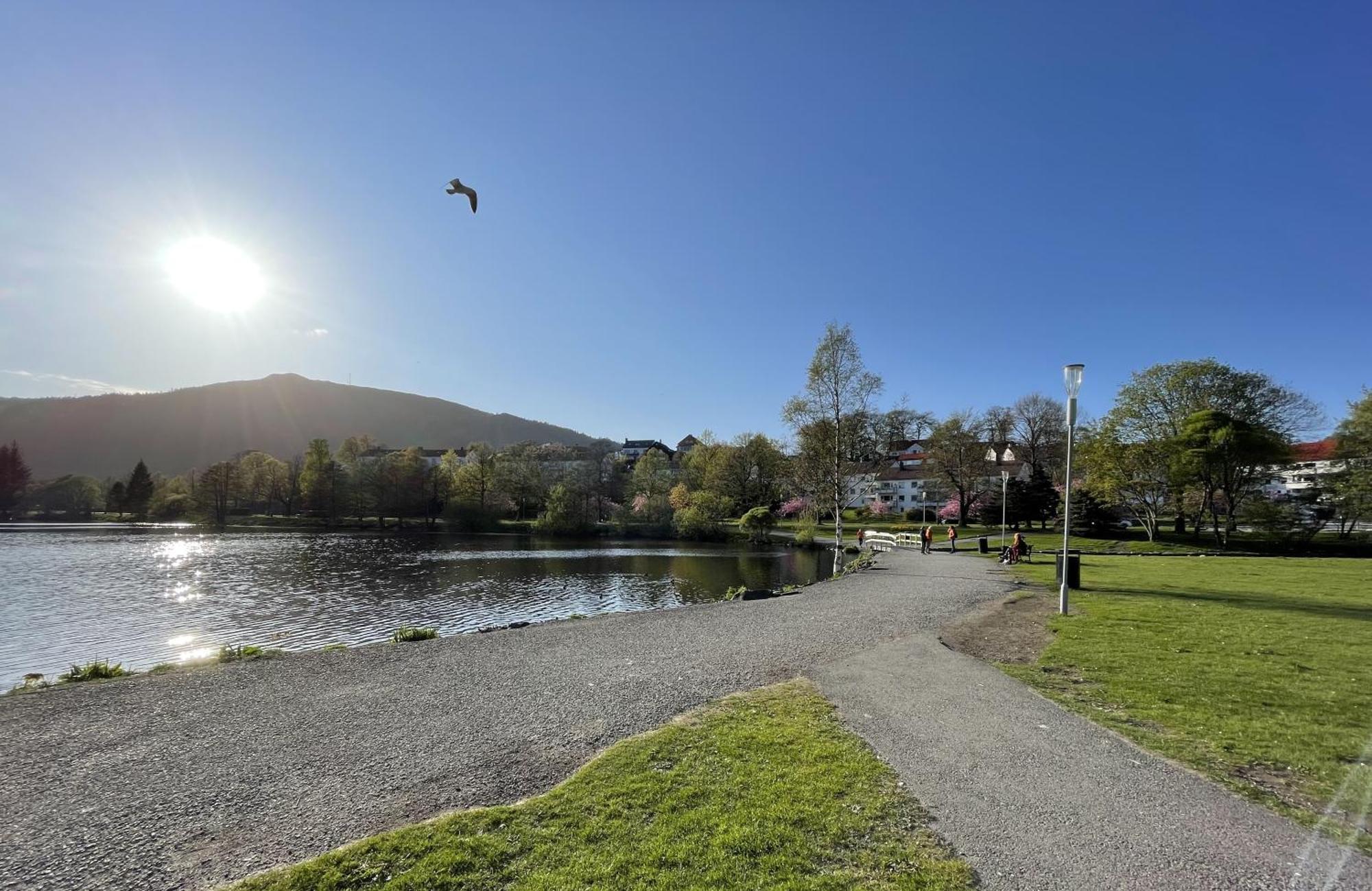 3 Sleeping Rooms For 82M2 Which Direct Traffic To Airport And City Center Bergen Kültér fotó