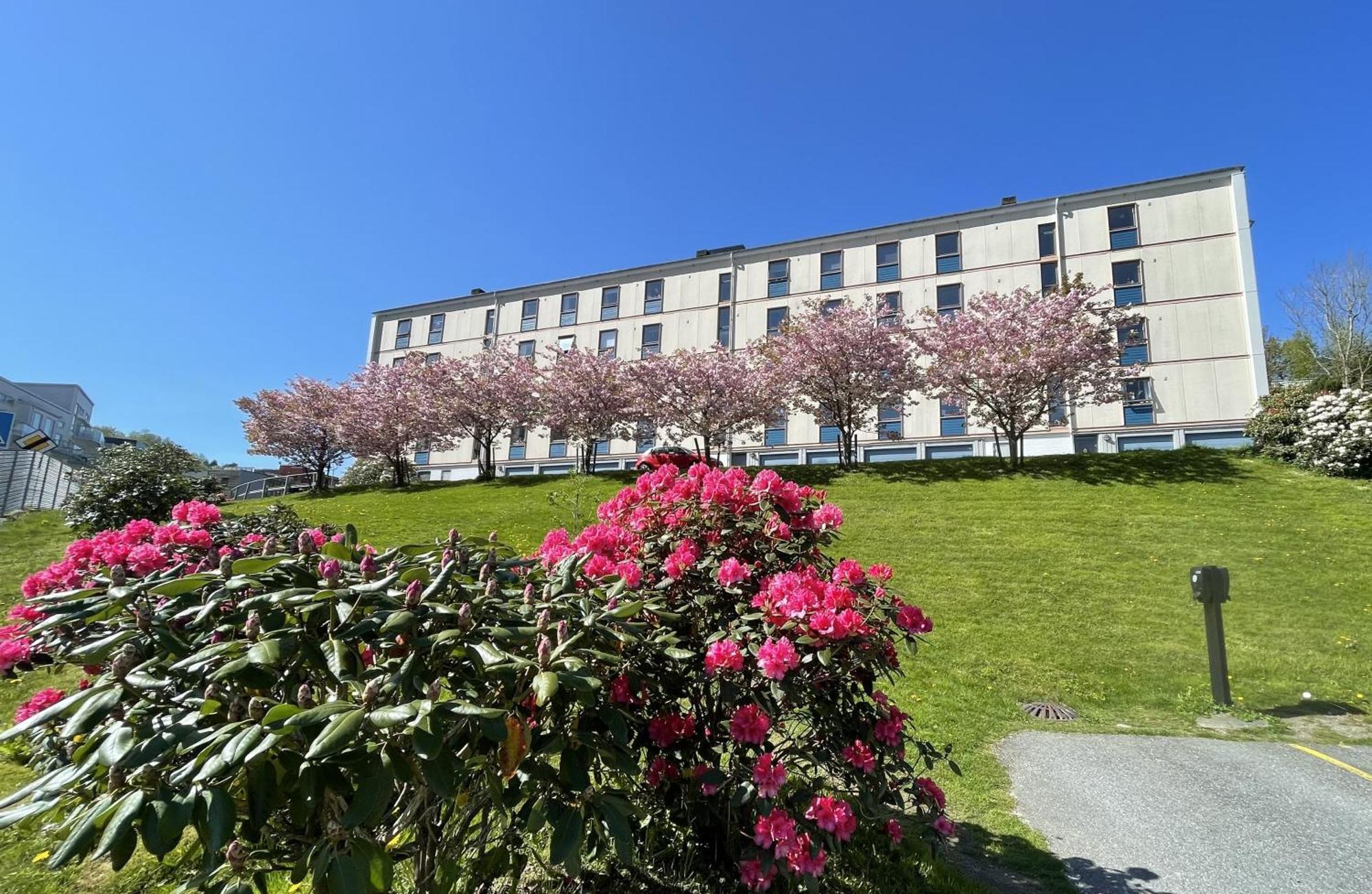 3 Sleeping Rooms For 82M2 Which Direct Traffic To Airport And City Center Bergen Kültér fotó